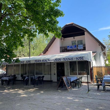 Feher Akac Guest House Palić Dış mekan fotoğraf