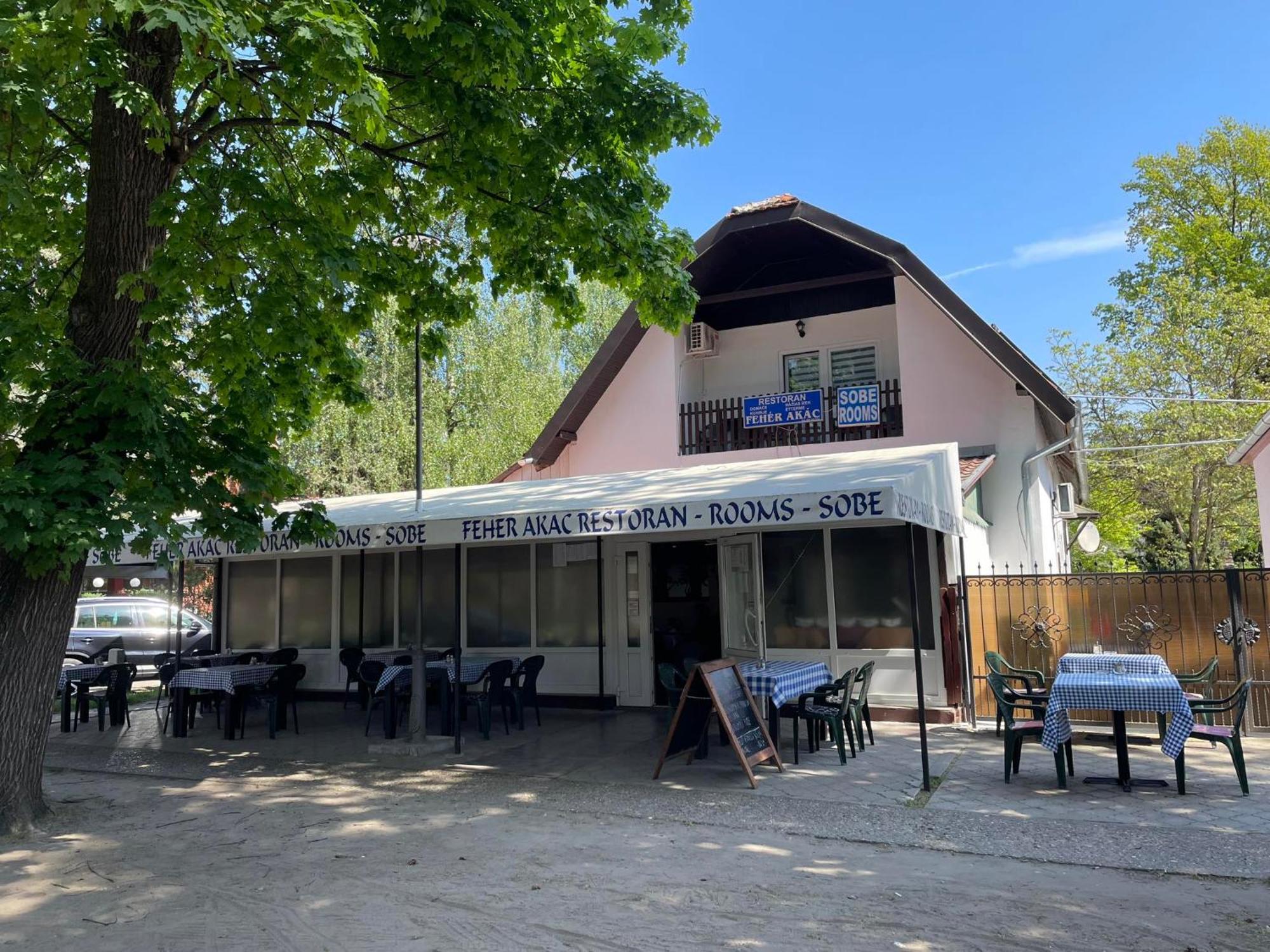 Feher Akac Guest House Palić Dış mekan fotoğraf